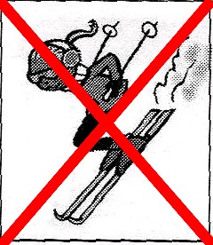 ski0.jpg