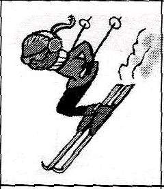 ski1.jpg