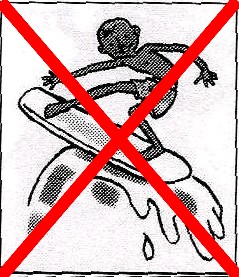 surf0.jpg