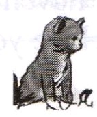 03.jpg